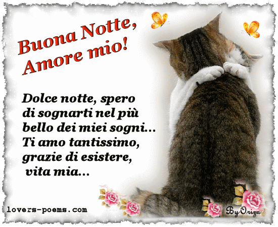 Buona Note, Amore, ti amo