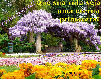 primavera