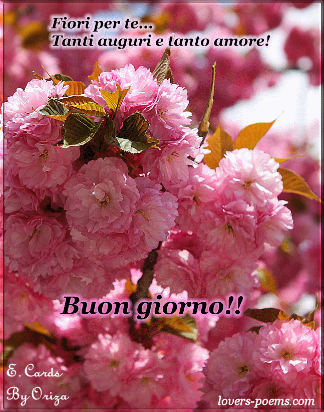 Buon giorno