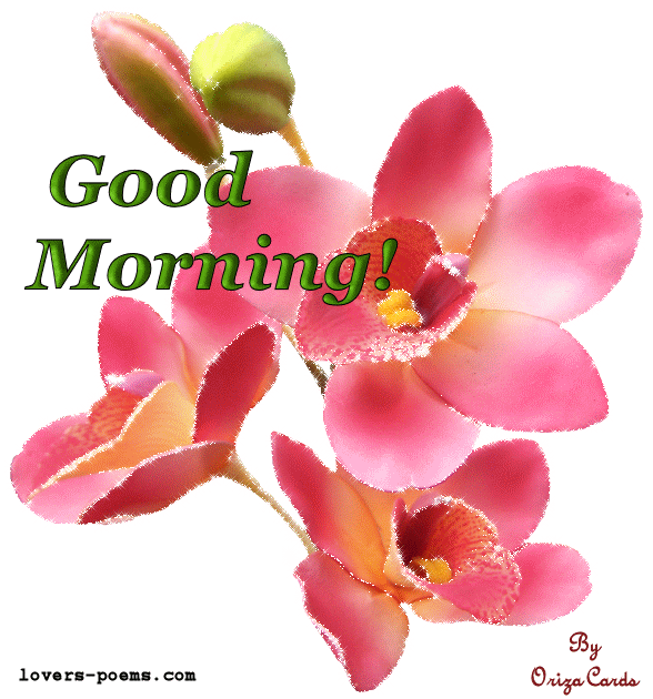 good morning honey