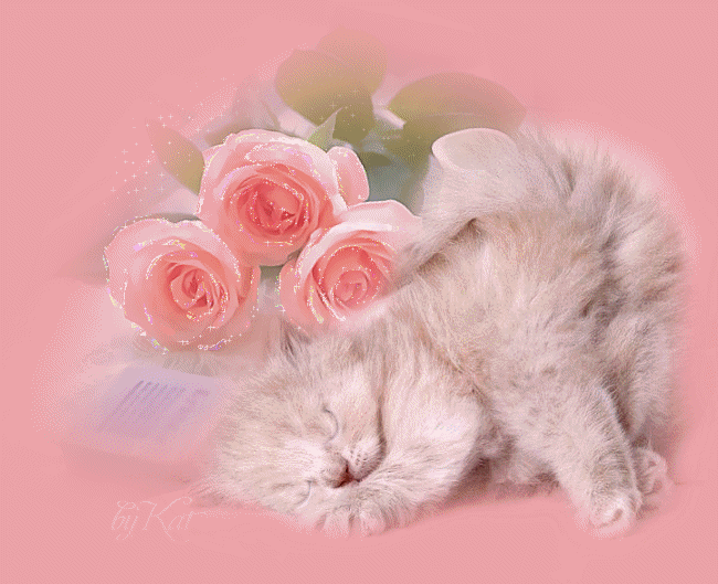 Nice animals